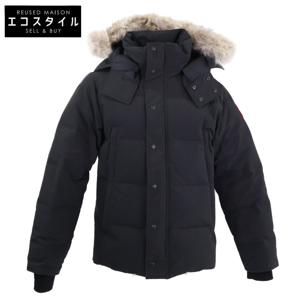 CANADA GOOSE Wyndham Parka Down Jacket with Coyote Fur, Domestic