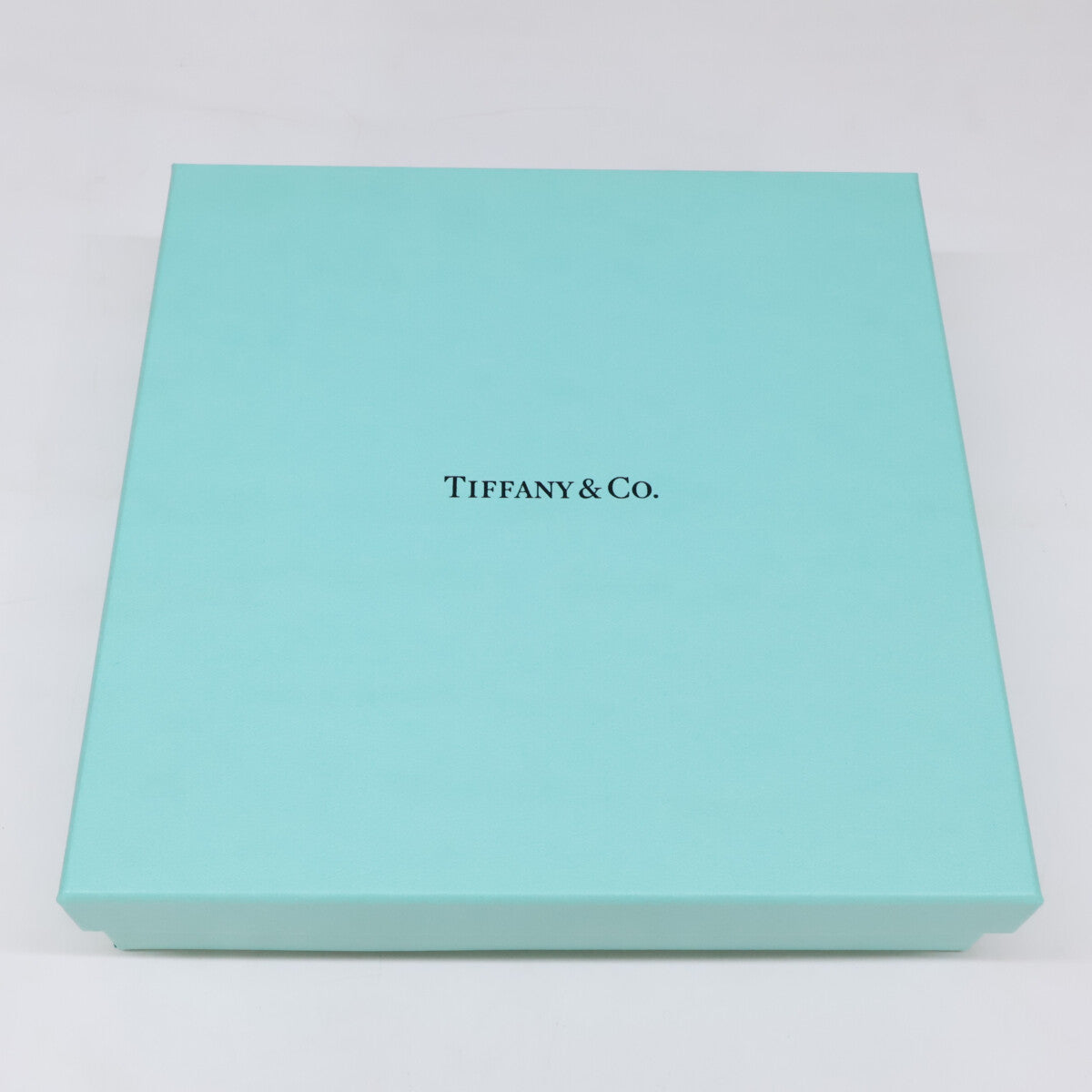 TIFFANY&Co. ティファニー ペットリーシュ レザー リード その他