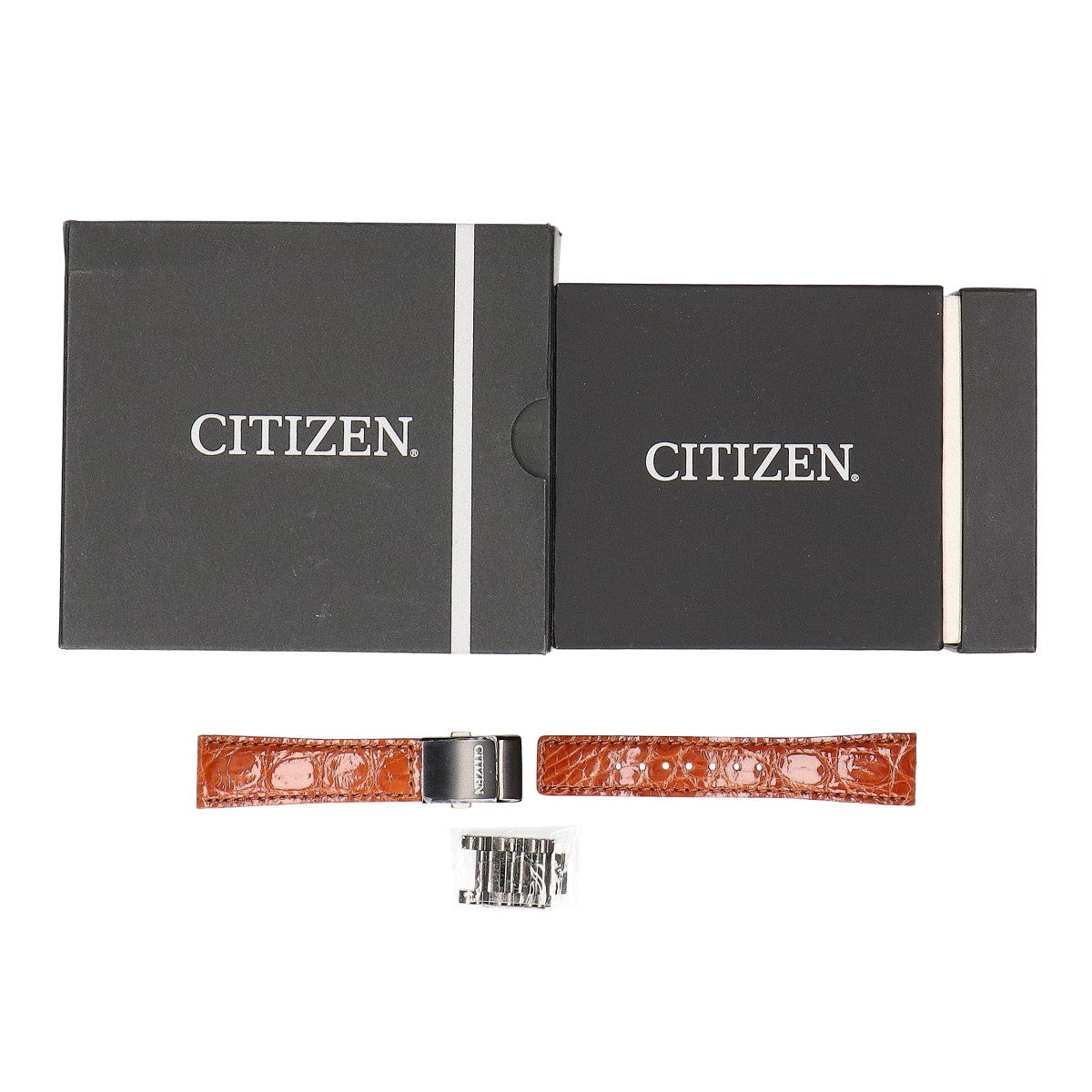 CITIZEN シチズン 【新品同様】BY3005-56E H864 PROMASTER SKY LAYERS of TIME プロマスター エコ・ドライブ電波 腕時計