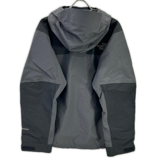 THE NORTH FACE NP12100LAB custom mountain jacket