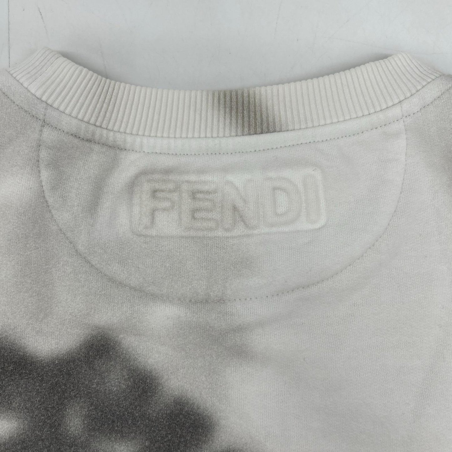FENDI フェンディ FY0178 AFRA 20年 ロゴ 草木シャドウ転写プリント トレーナー トップス