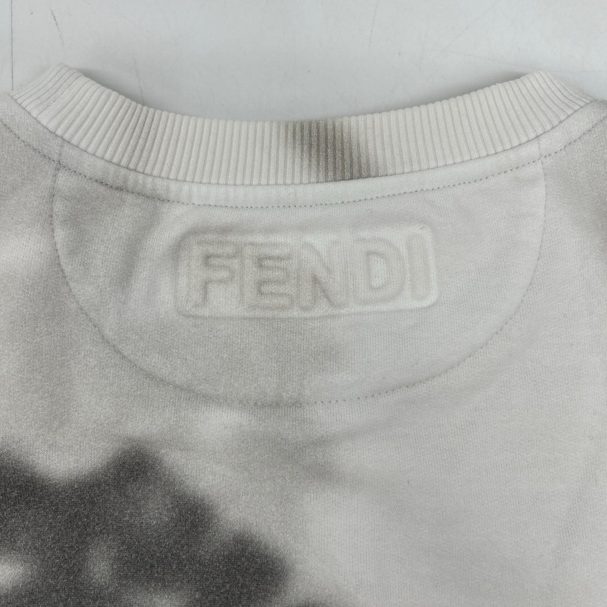 FENDI FY0178 AFRA 20 Logo Botanical Shadow Transfer Print Sweatshirt Top