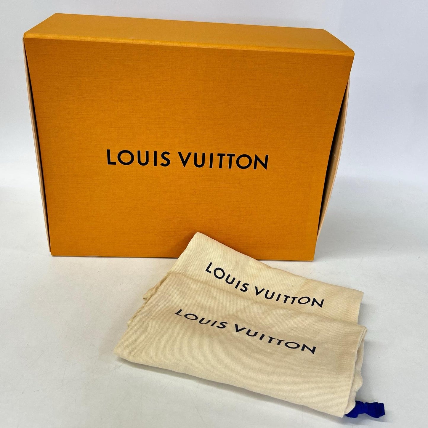 LOUIS VUITTON ルイヴィトン 【美品】レザー コインローファー シューズ