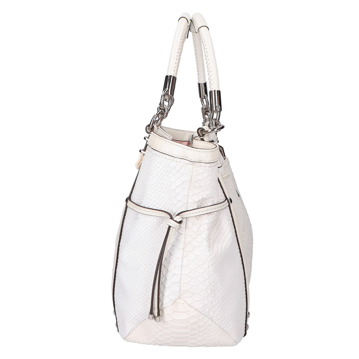 COACH コーチ 【美品】19585 パイソンレザー 2WAYショルダー トートバッグ