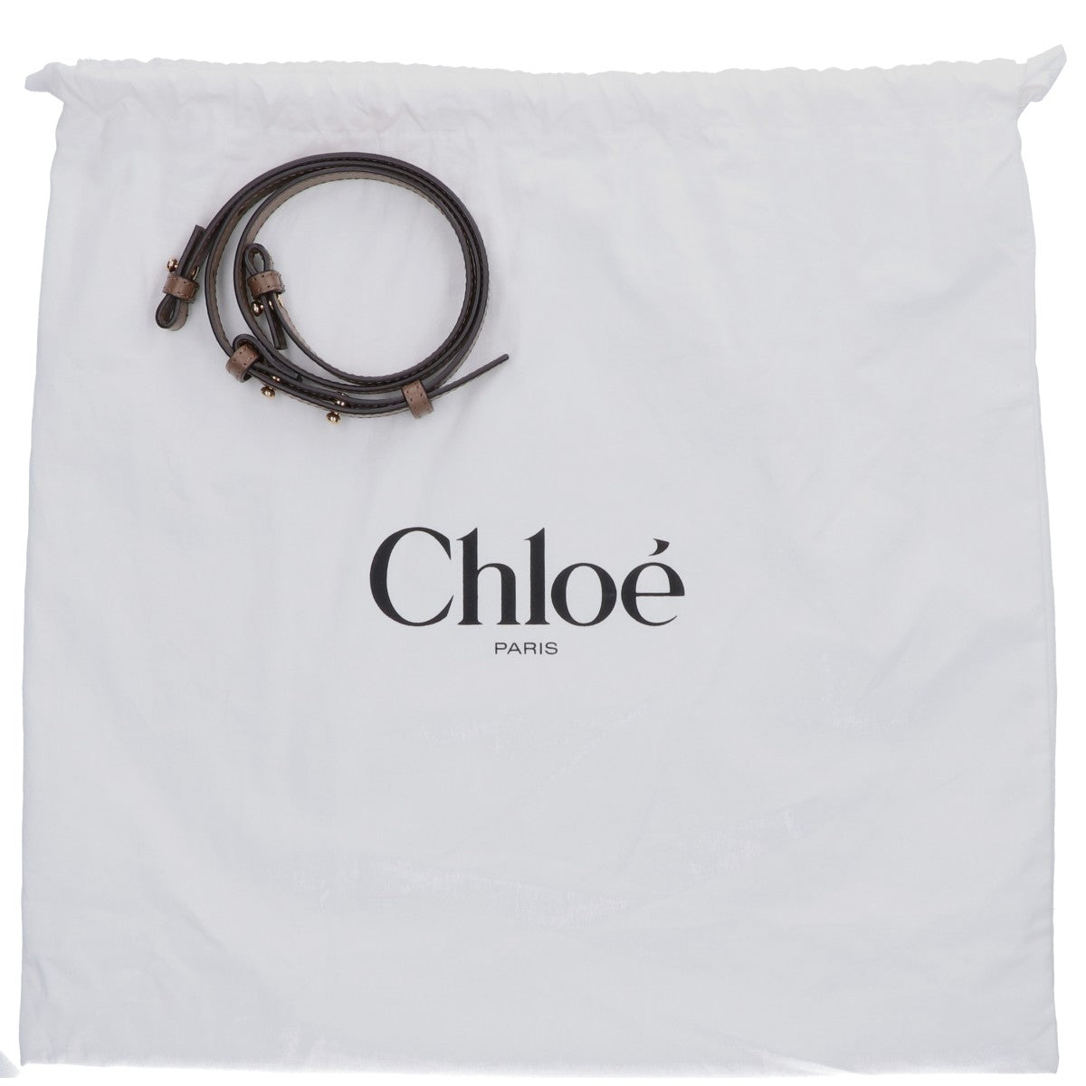 Chloe クロエ 美品 キャンバス Carry スモール 2WAY トートバッグ