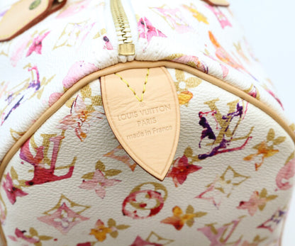 LOUIS VUITTON ルイヴィトン 08年製 M95751 モノグラム ウォーターカラー VVN スピーディ30 ボストンバッグ ボストンバッグ
