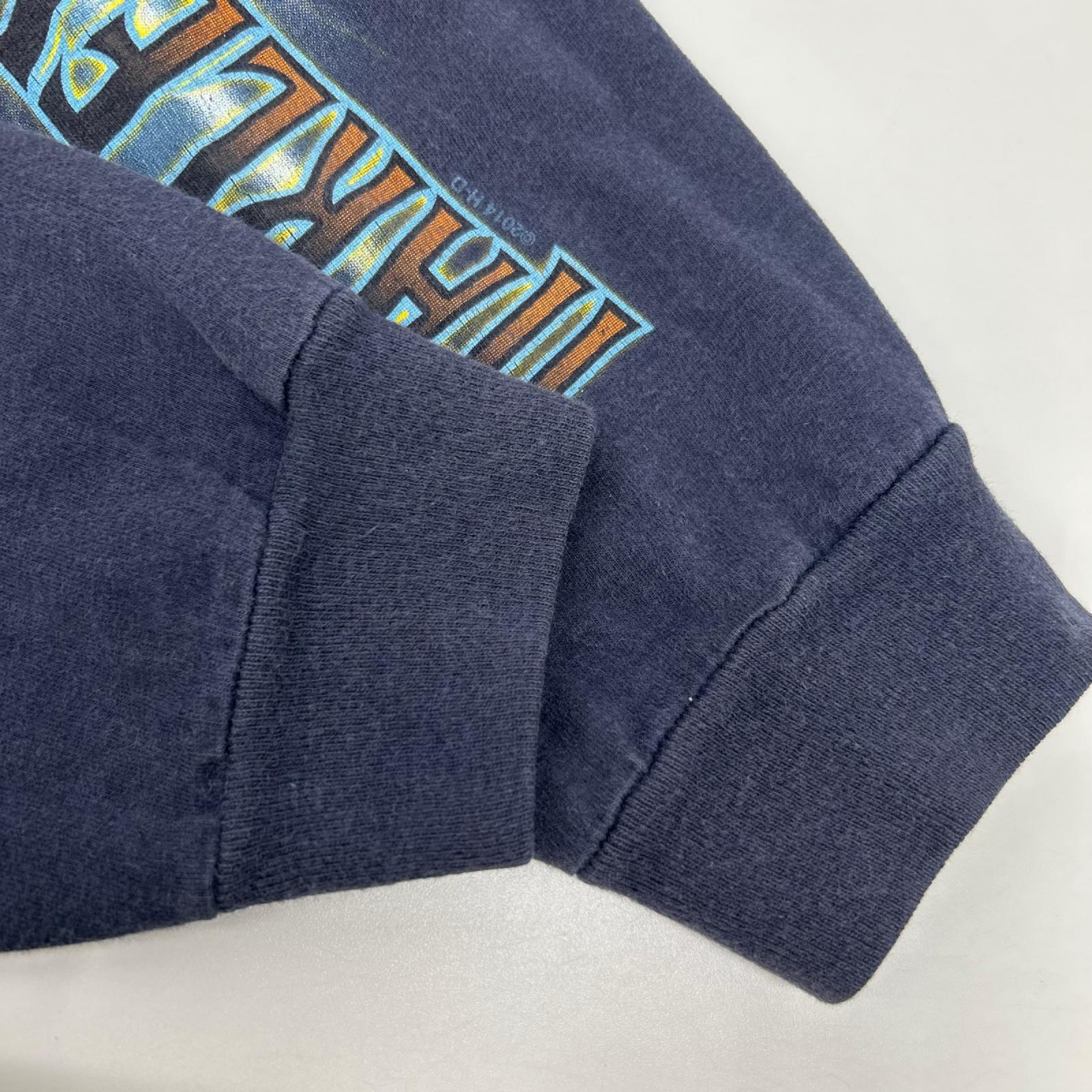 HARLEY DAVIDSON ハーレーダビッドソン ×Haens BEEFY ネイビー 長袖 ジョーカーTシャツ トップス