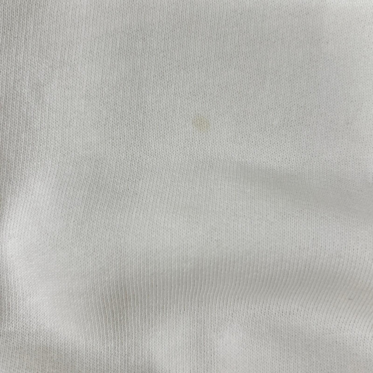 POLObyRalphLauren ポロラルフローレン ホワイト ヴィンテージフィット グラフィック スウェットシャツ トップス