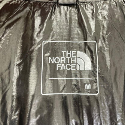 THE NORTH FACE ノースフェイス NYW81711 ブルー THUNDER HOODIE ジャケット ジャケット