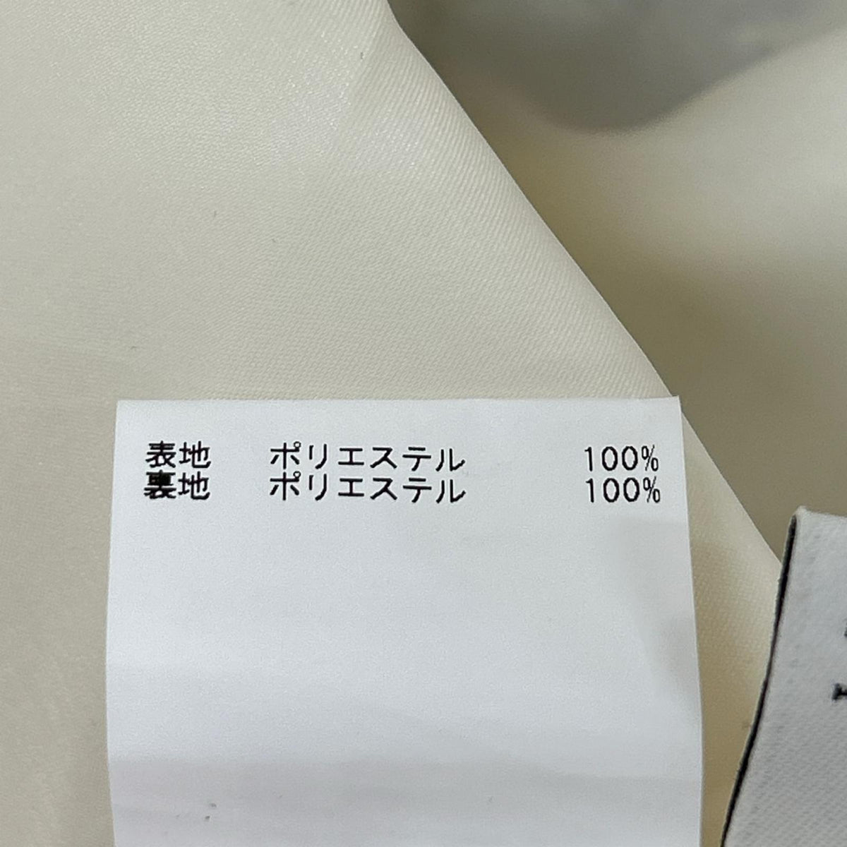 ANAYI アナイ 102517-11-550 25SS ホワイト リーフカリグラフィープリントマチフレア スカート スカート