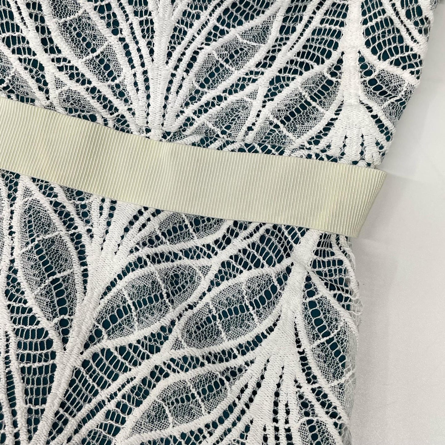 TADASHI SHOJI タダシショージ BTY18698MDJ ホワイト エンブロイダリーワンピース ワンピース