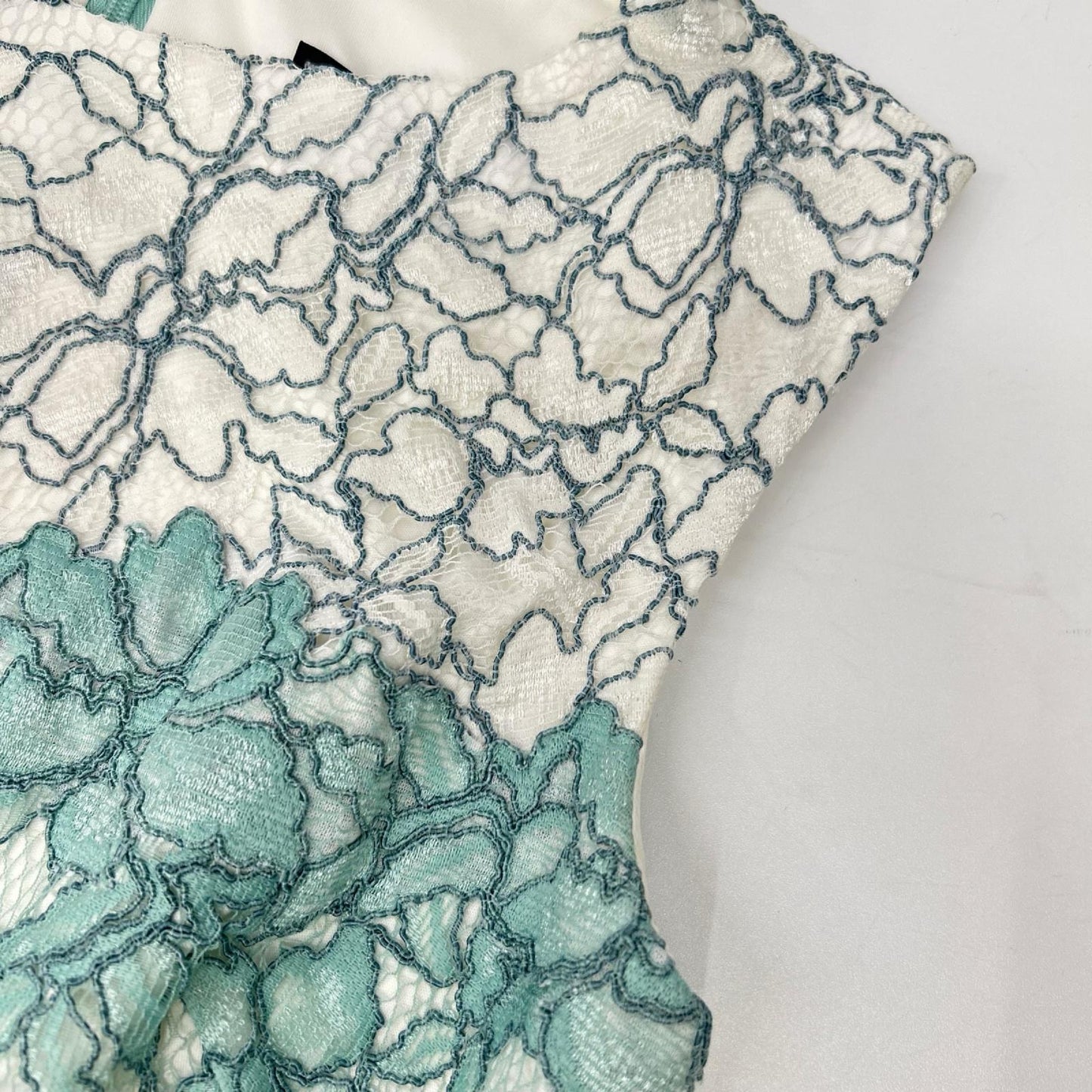 TADASHI SHOJI タダシショージ AKH1695MJ ライトグリーン 花柄レース ノースリーブワンピース ワンピース