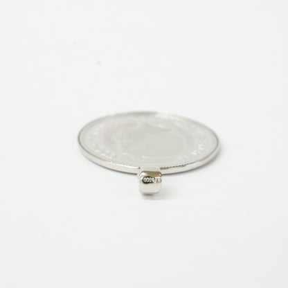 QVC QVC 純プラチナ/Pt900 ローズ＆エリザベス2世2022年20ドルコイン 1/10oz ペンダントトップ