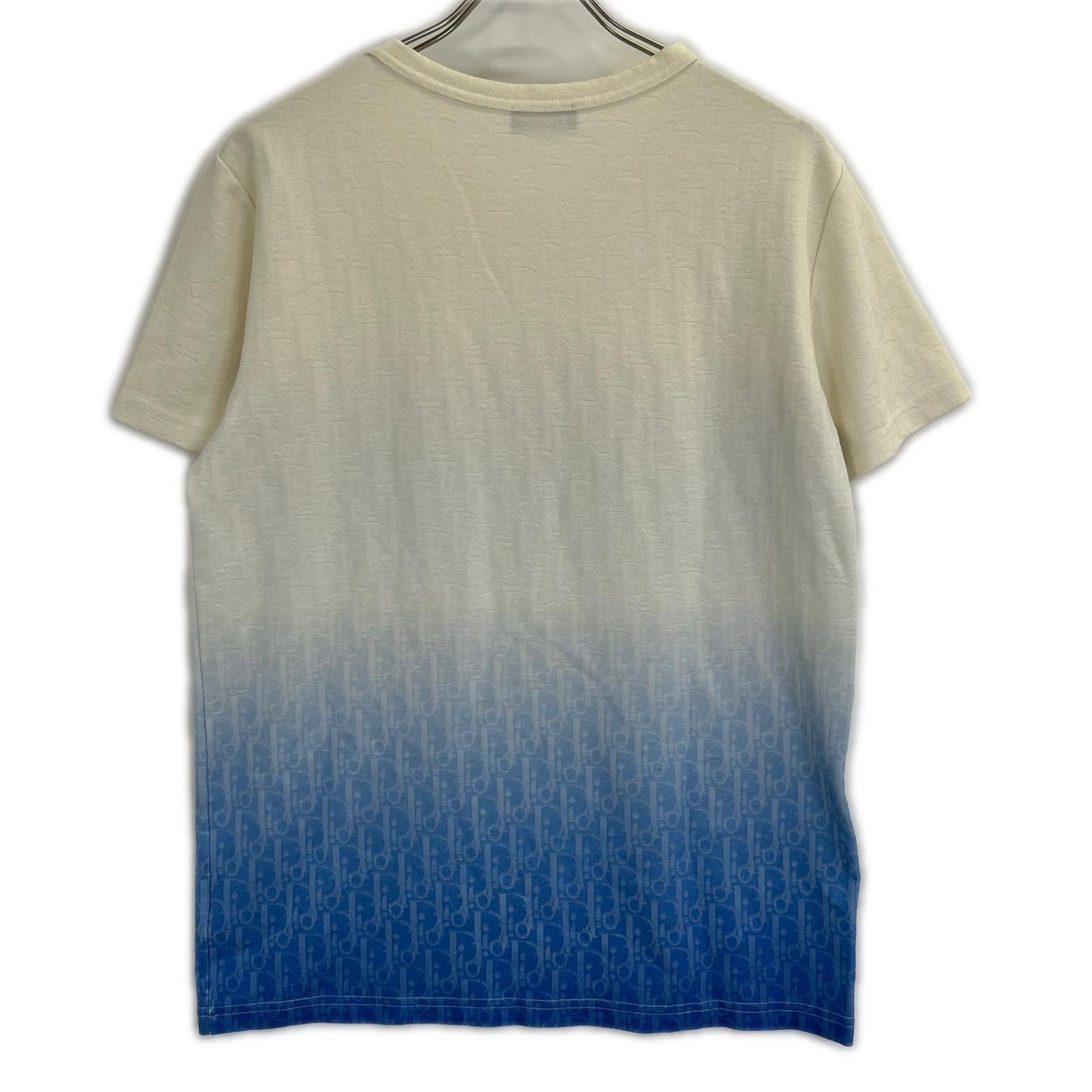 Dior HOMME ディオールオム 美品 国内正規 023J600B0624 20AW オブリークグラデーション Tシャツ トップス