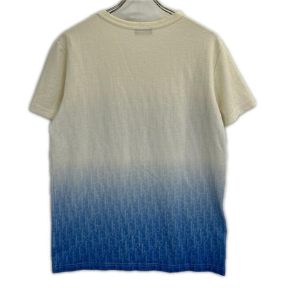 Dior HOMME ディオールオム 美品 国内正規 023J600B0624 20AW オブリークグラデーション Tシャツ トップス