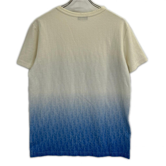 Dior HOMME Beautiful Condition Domestic Regular 023J600B0624 20AW Oblique Gradient T-shirt Top