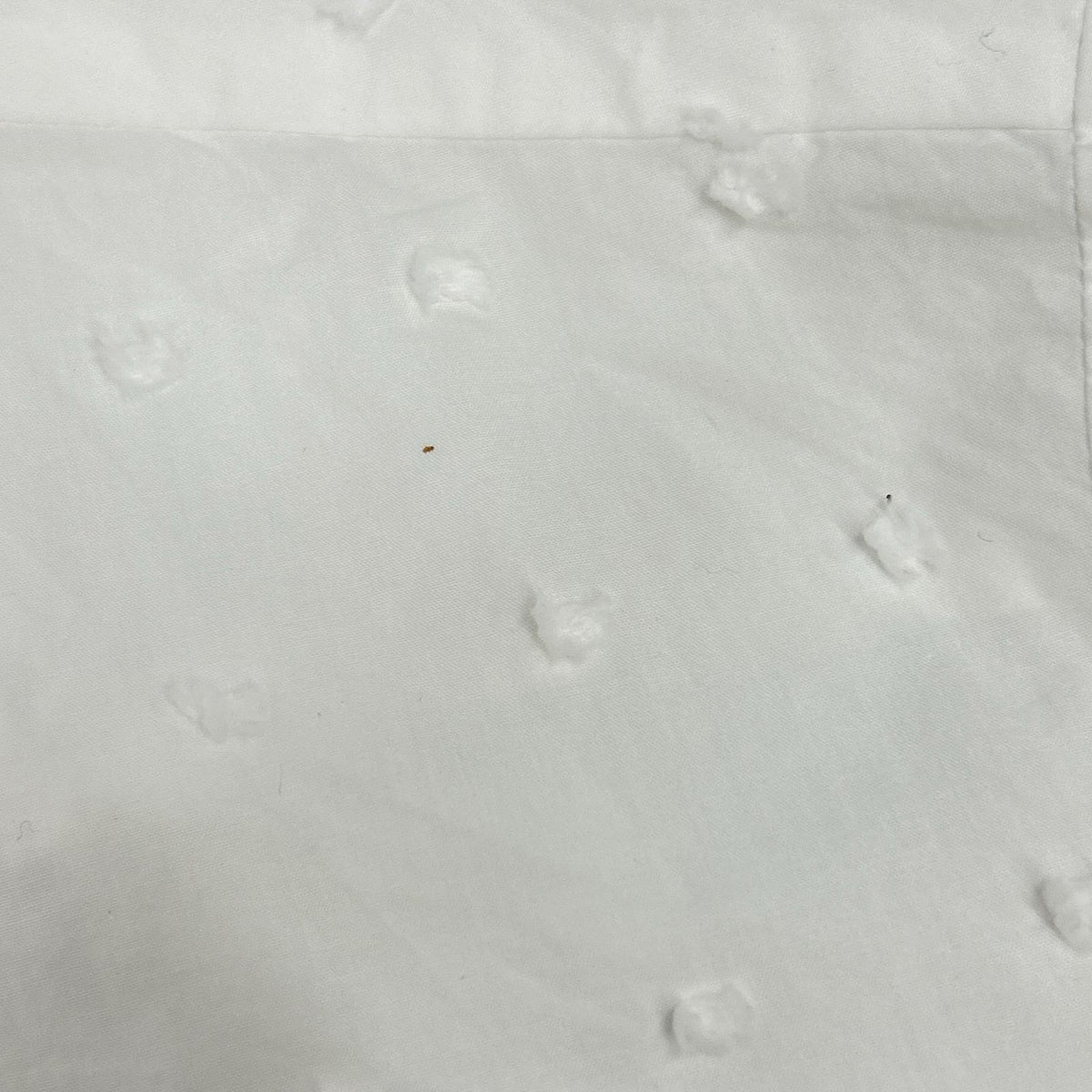 SR0AB1Z54J2 白色 纯棉 荷叶边 长袖衬衫 上衣 40 女式