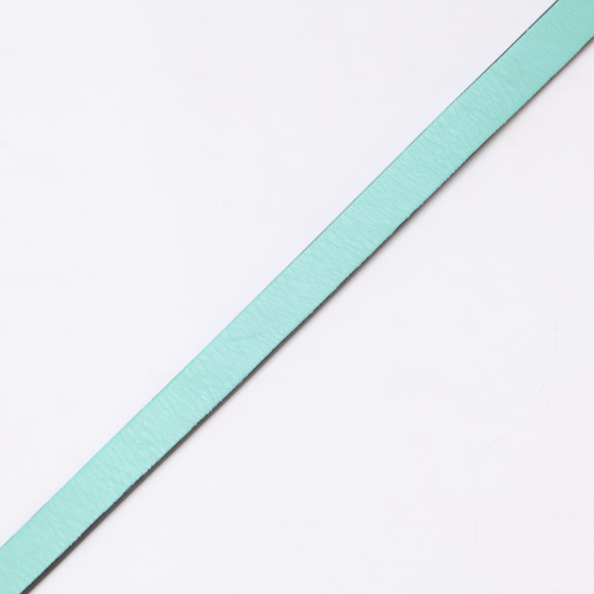 TIFFANY&Co. ティファニー ペットリーシュ レザー リード その他