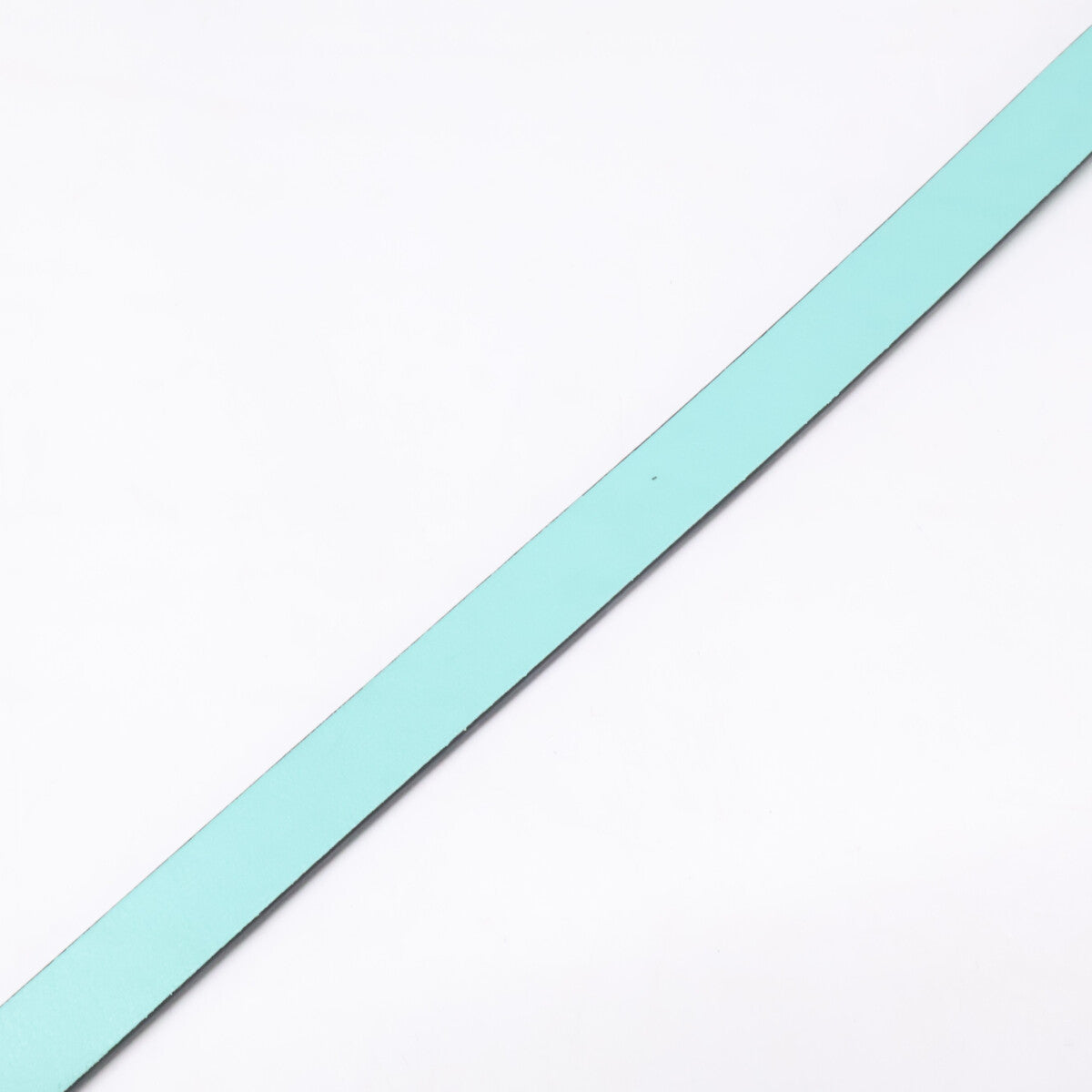 TIFFANY&Co. ティファニー ペットリーシュ レザー リード その他