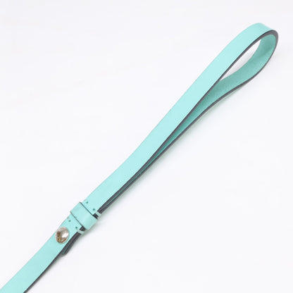 TIFFANY&Co. ティファニー ペットリーシュ レザー リード その他