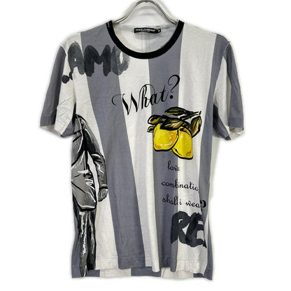 DOLCE&GABBANA ドルチェアンドガッバーナ G8GB5T FP7MT ホワイト×グレー コットン ストライプ WHAT? プリントTシャツ トップス