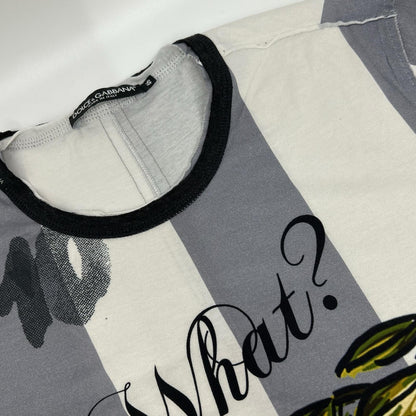 DOLCE&GABBANA ドルチェアンドガッバーナ G8GB5T FP7MT ホワイト×グレー コットン ストライプ WHAT? プリントTシャツ トップス