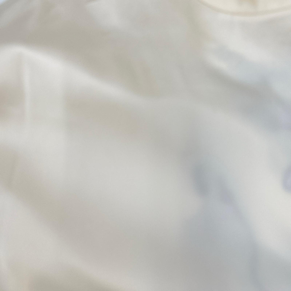 JILSANDER ジルサンダー 24SS ホワイト ドラゴンプリント カットソー トップス