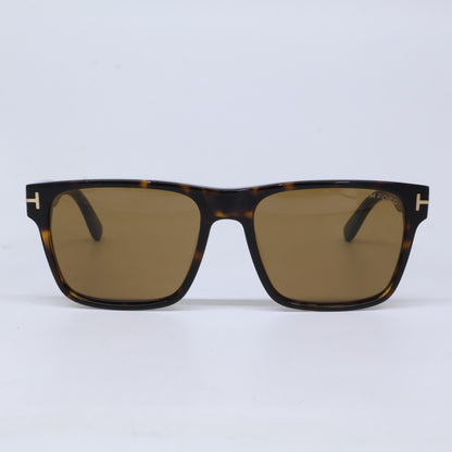 TOM FORD トムフォード TF1205 ECO 01A Calder ブラウン×スモーク スクエアサングラス サングラス