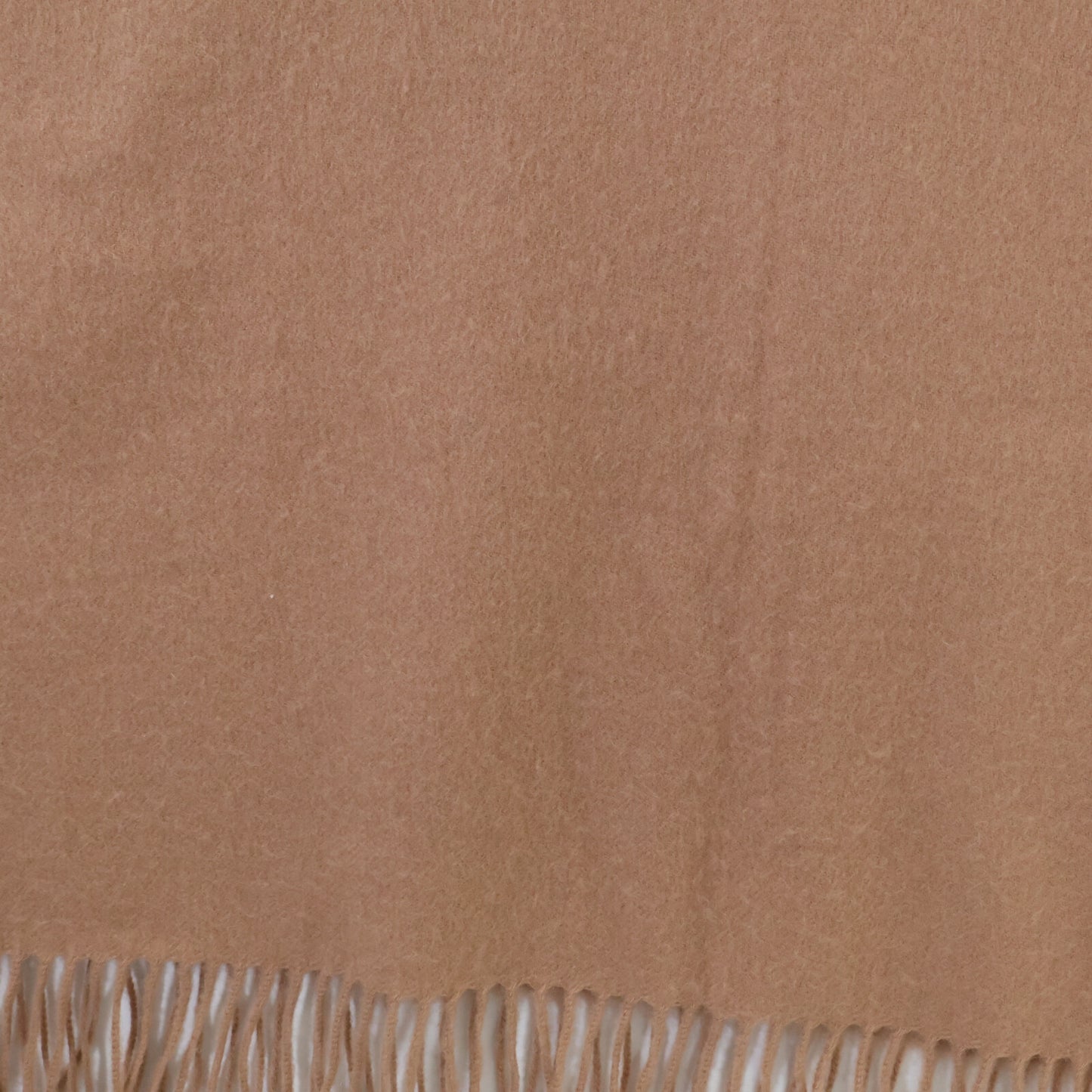 【Excellent Condition】24AW 4360808 Cashmere Blanket Fringe Scarf for Women