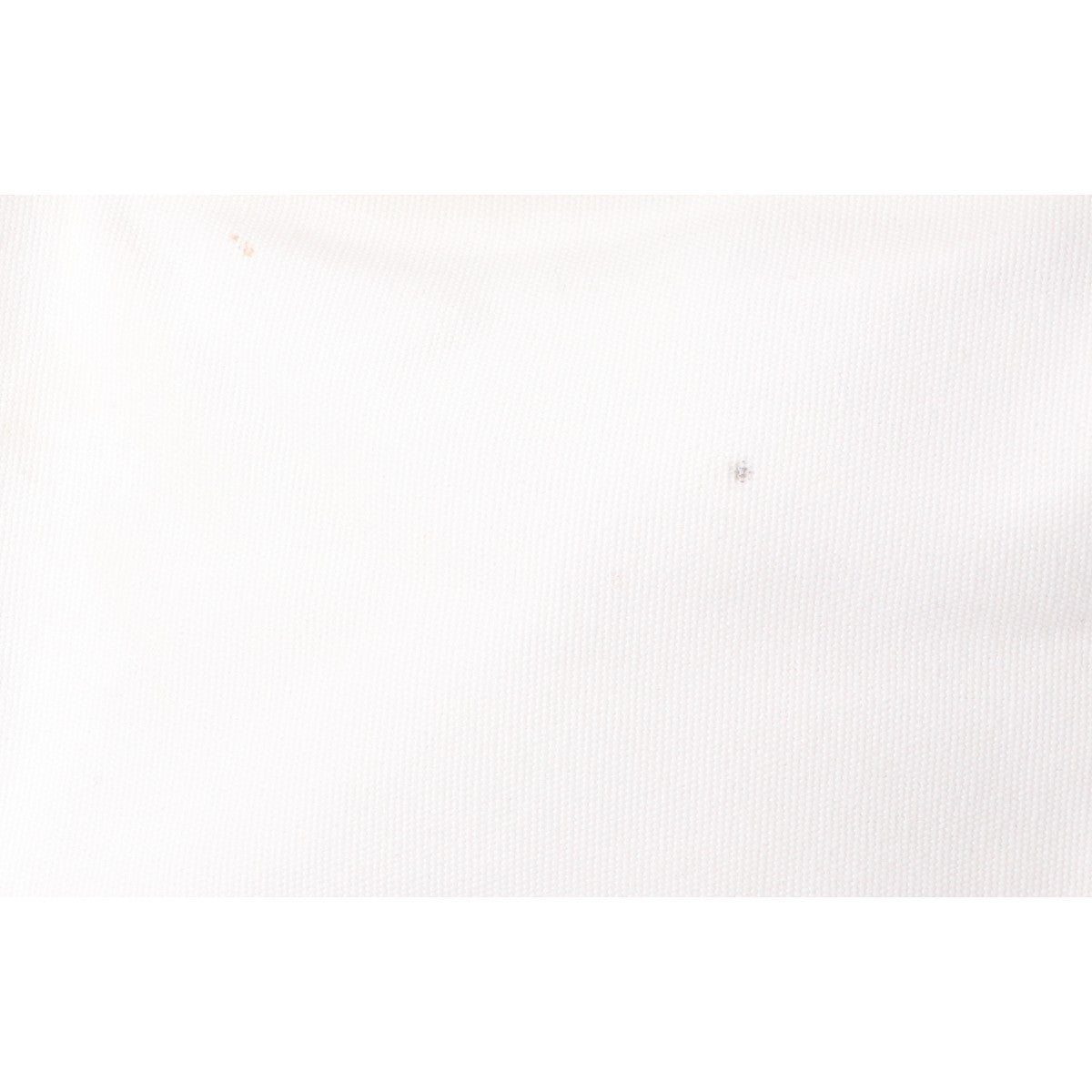 STELLA McCARTNEY Stella McCartney [Immediate Decision/Domestic Regular] 700202 WP0048 Disney Fantasia Canvas Tote Bag
