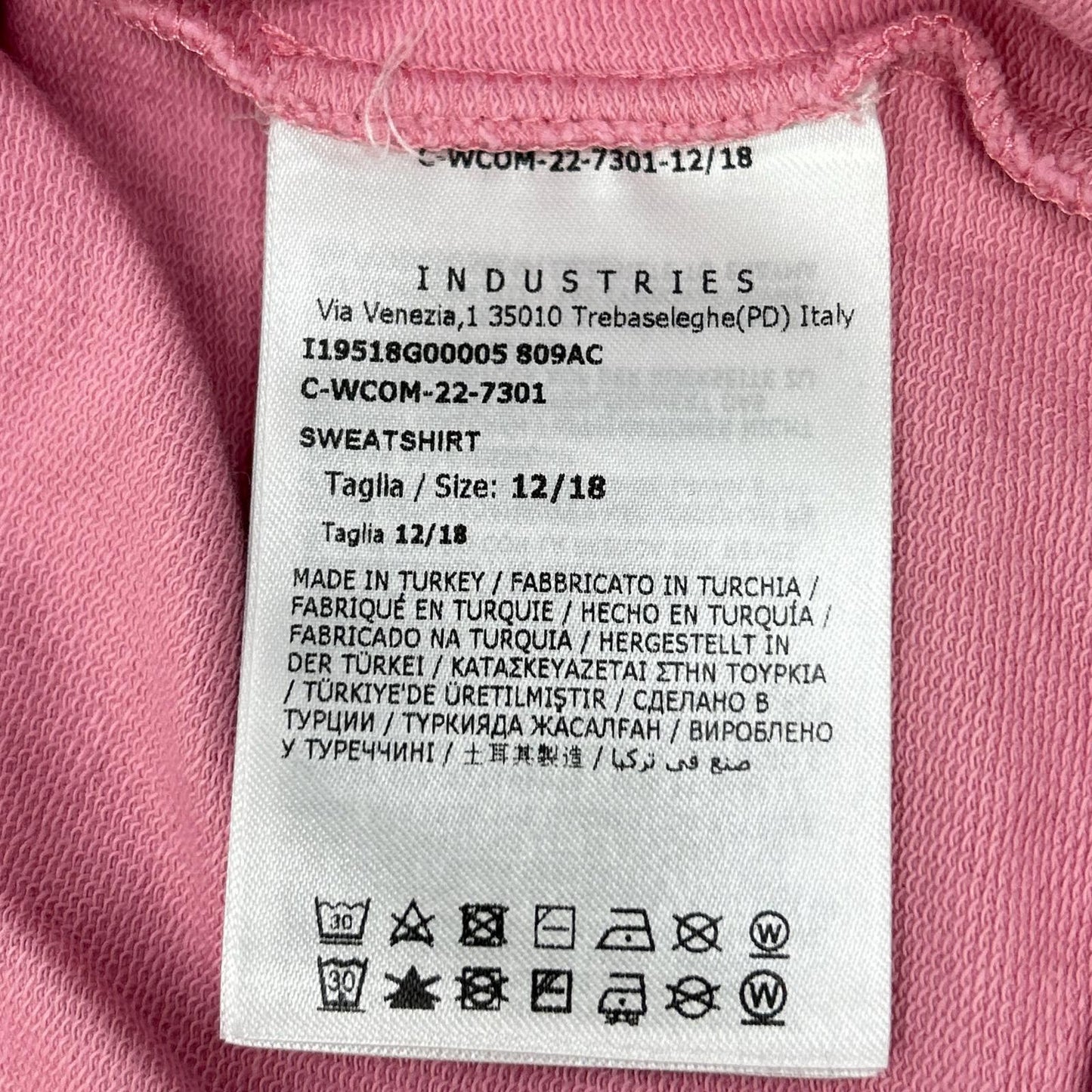 22 Pink SWEATSHIRT Sweatshirt Top 12/18 Kids