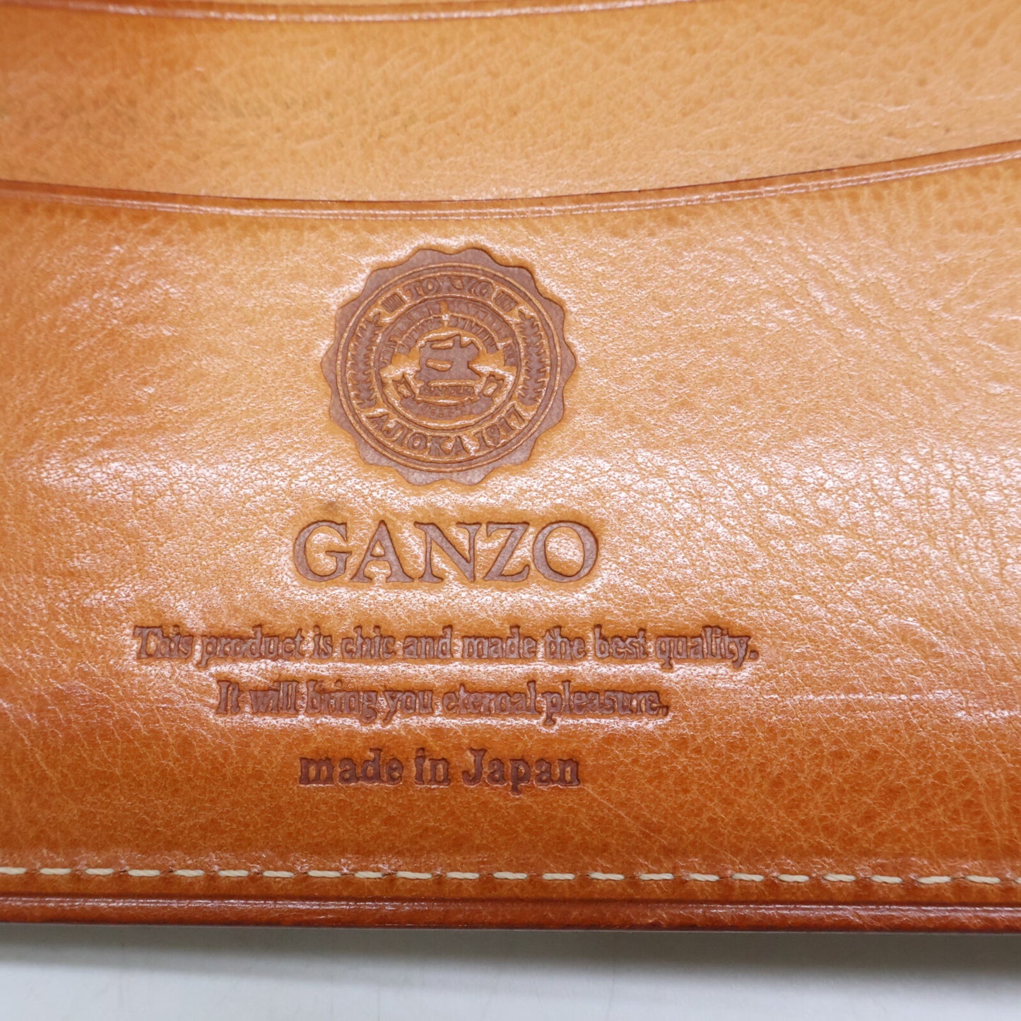 GANZO ガンゾ THIN BRIDLE シンブライドル システム手帳 A5サイズ 文房具