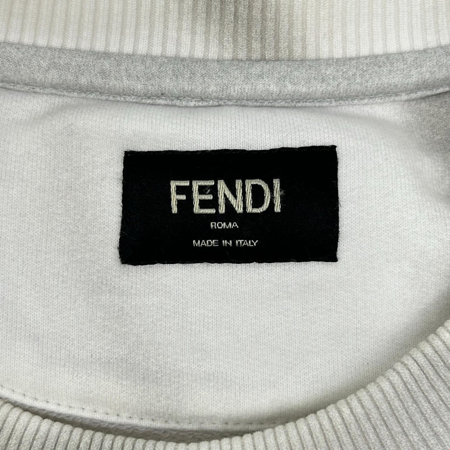 FENDI 芬迪 FY0178 AFRA 20年款 Logo花草阴影印花卫衣 上衣