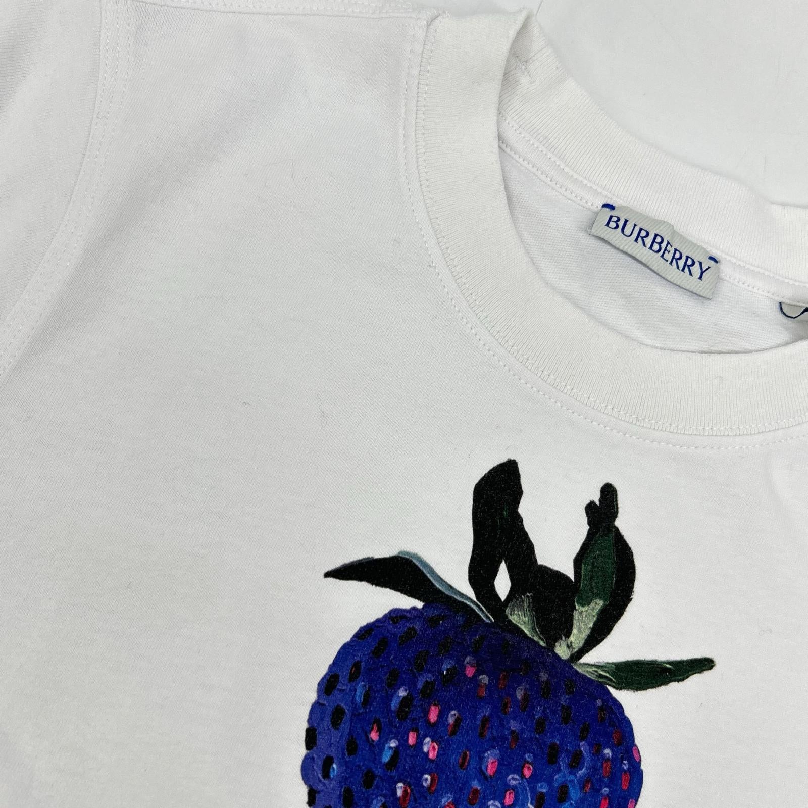 BURBERRY バーバリー  ﾀﾞﾆｴﾙﾘｰ期 8089368 ｽﾄﾛﾍﾞﾘｰﾌﾟﾘﾝﾄ ﾎﾜｲﾄ ｸﾙｰﾈｯｸTｼｬﾂ S ﾀﾞﾆｴﾙﾘｰ期 8089368 ｽﾄﾛﾍﾞﾘｰﾌﾟﾘﾝﾄ ﾎﾜｲﾄ ｸﾙｰﾈｯｸTｼｬﾂ トップス S
