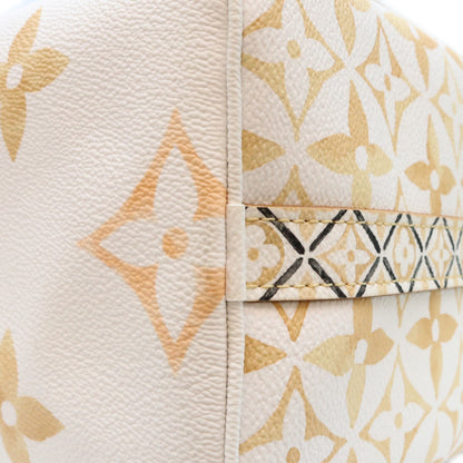 LOUIS VUITTON ルイヴィトン M22987 LVバイザプール スピーディ バンドリエール25 ミニボストンバッグ ショルダーバッグ