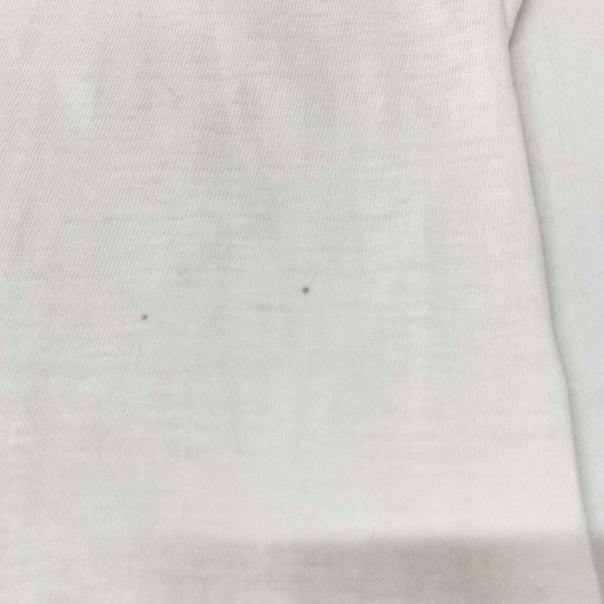 Champion チャンピオン 50S~60S FRIENDSHIP COMMITEE 半袖Tシャツ トップス