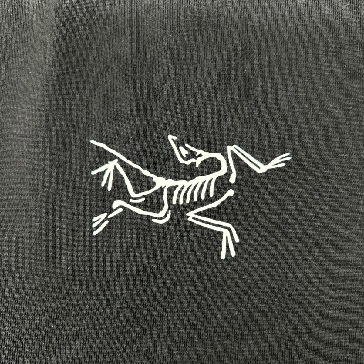 ARC'TERYX アークテリクス 30379 ブラック コットン スプリット SS Tシャツ トップス
