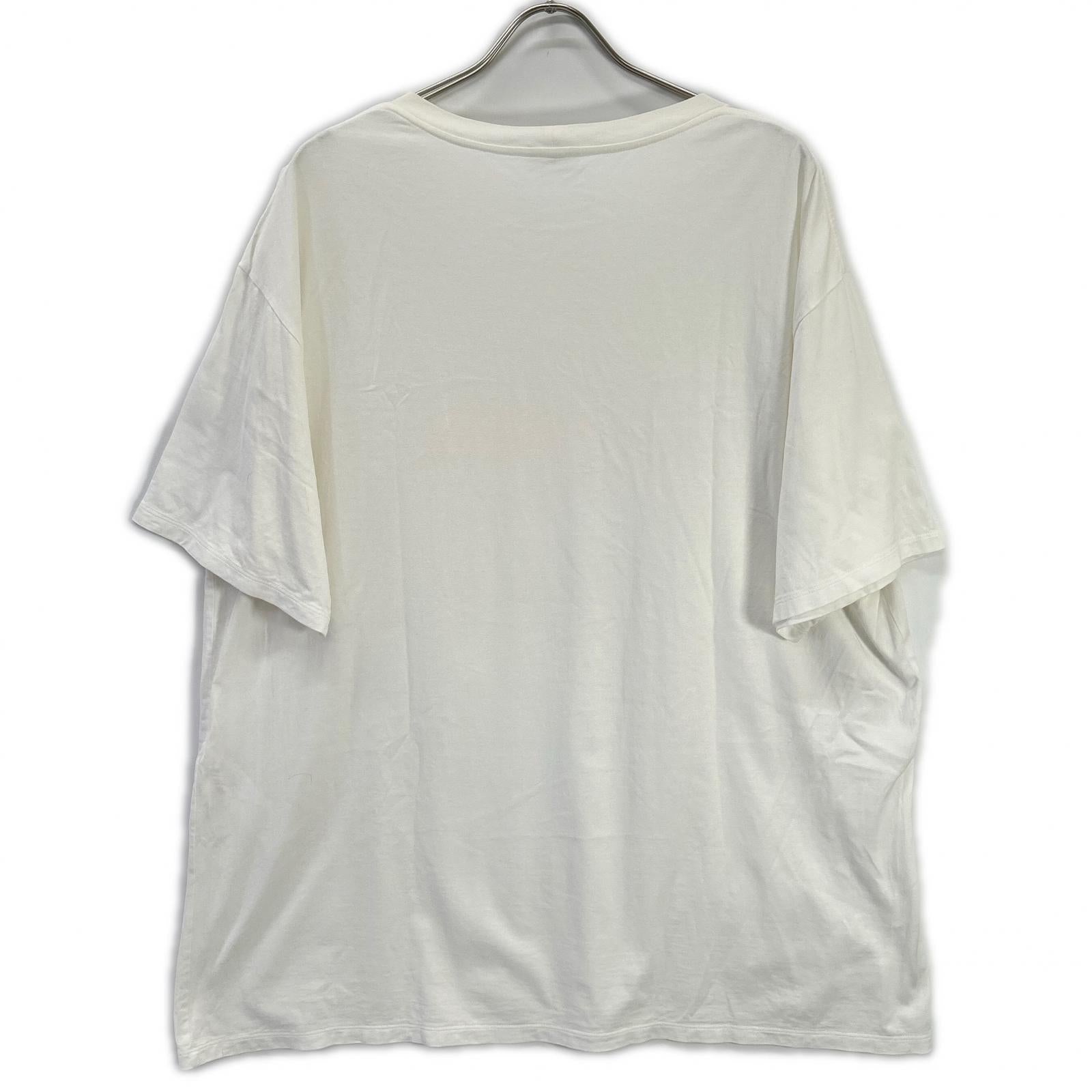 CELINE セリーヌ 22SS 2X10B671Q クラシックロゴ グラデーションルーズTシャツ トップス