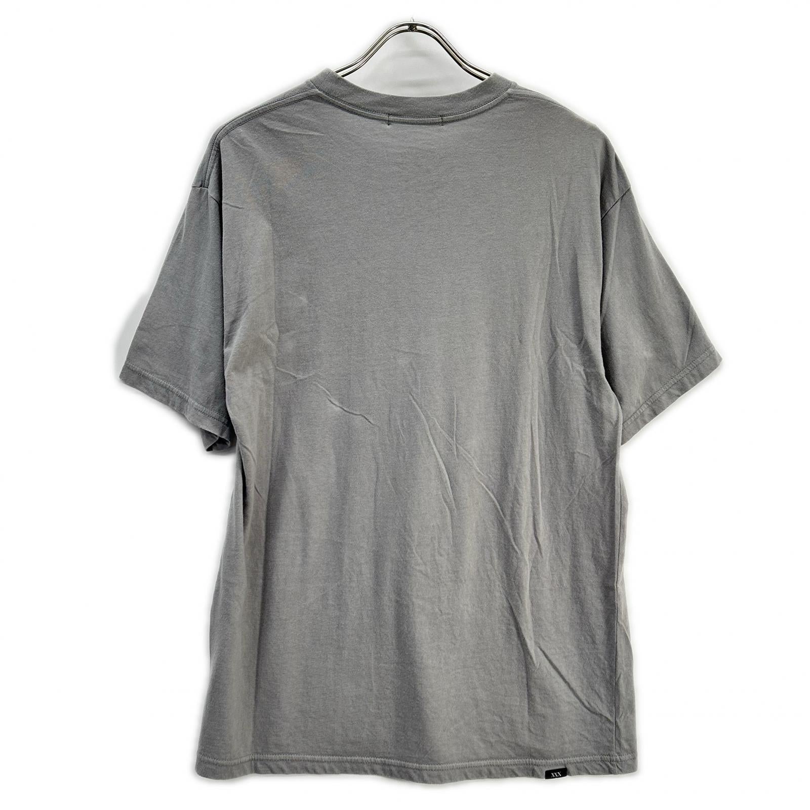 HYSTERIC GLAMOUR ヒステリックグラマー グレー DESTROY ALL MONSTERS DOPPELGANGER Tシャツ トップス