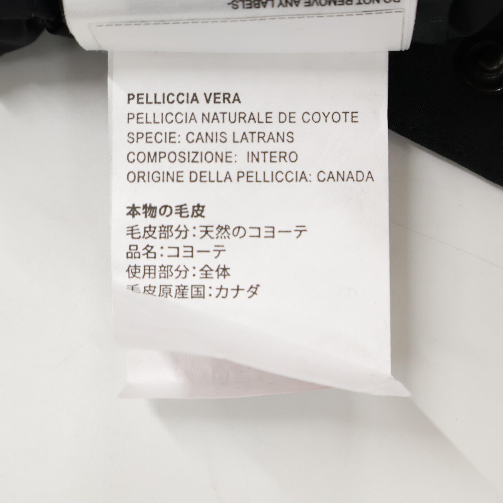 CANADA GOOSE カナダグース 【国内正規（株）サザビーリーグ】4595K フード付ダウンジャケット ジャケット 2-3