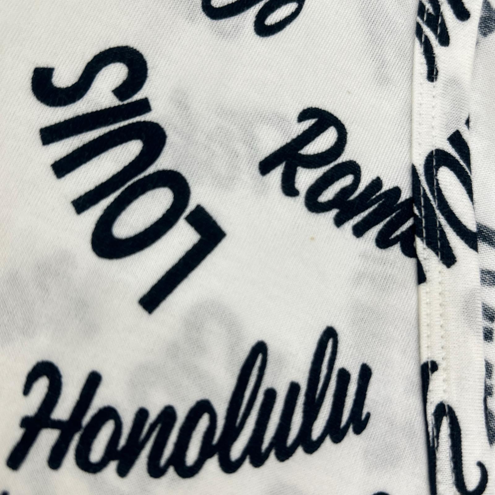 LOUIS VUITTON ルイヴィトン 18SS HEY06W ホワイト×グリーン オックスフォードシティロゴVネックTシャツ トップス