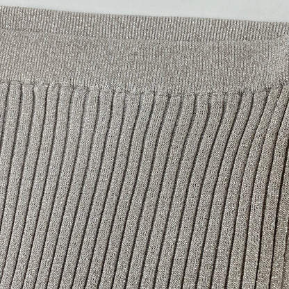 Whim Gazette ウィムガゼット 24SS シルバー ラメニット フィットスカート スカート