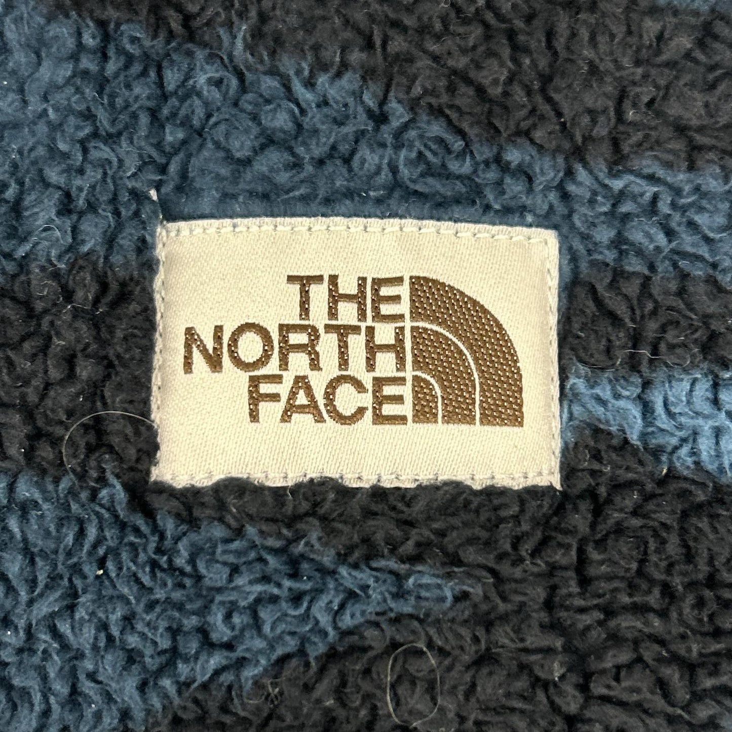 THE NORTH FACE ノースフェイス ブルー キャンプシャープルオーバーフーディー フリースジャケット トップス