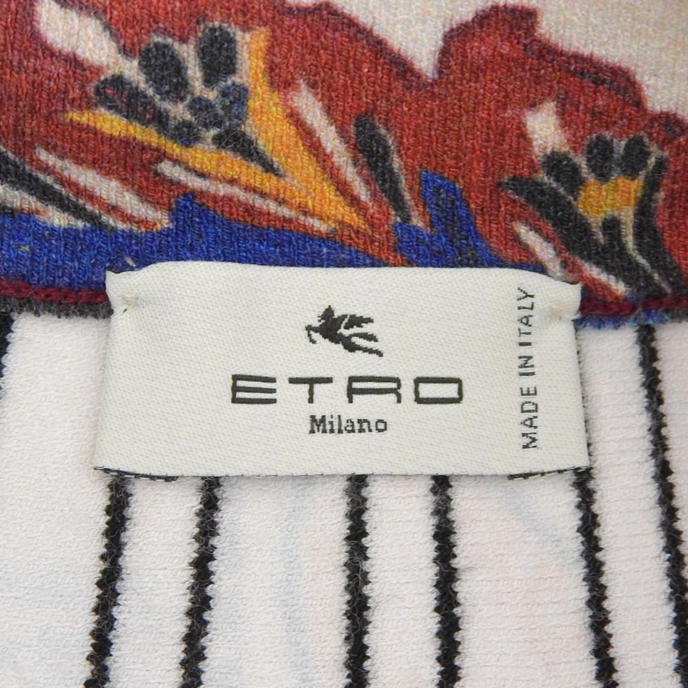 ETRO エトロ レーヨン 総柄 フレアスカート レディース マルチカラー 38 221-19683-9656 スカート