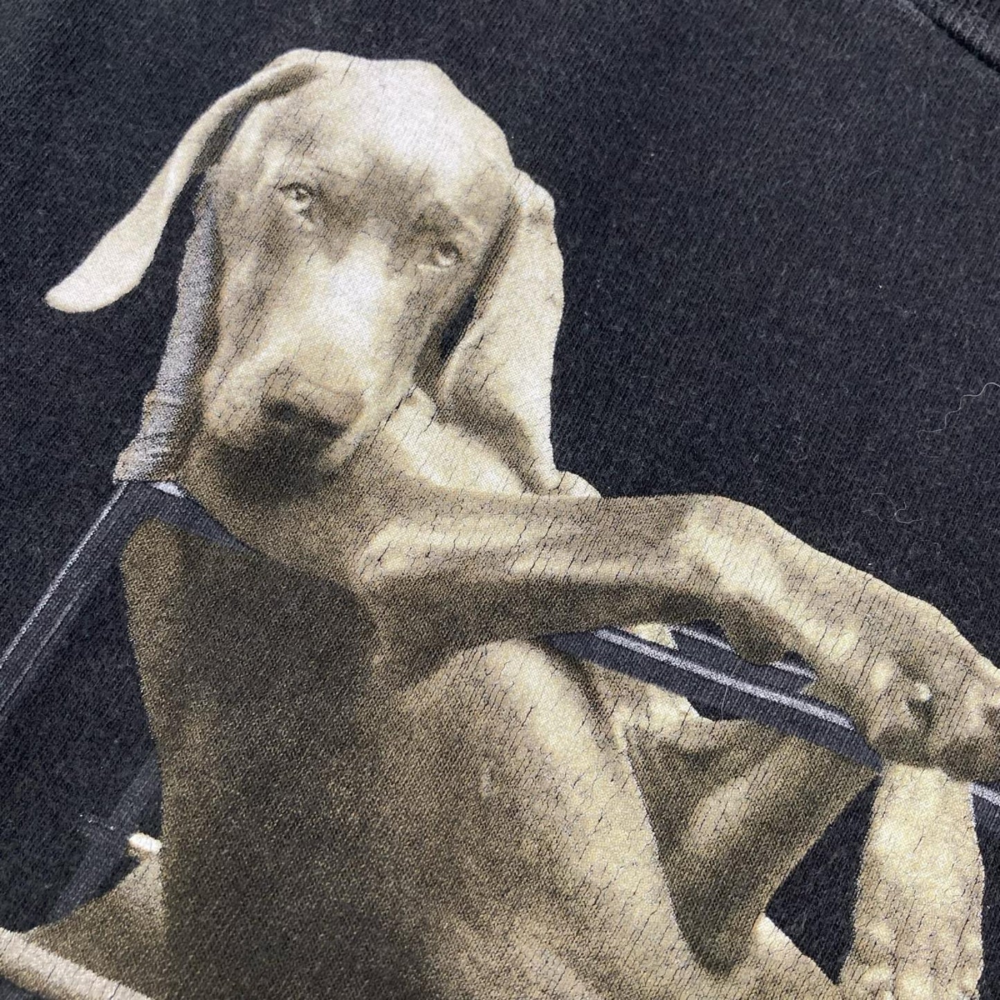 FRUIT OF THE LOOM フルーツオブザルーム 90s ブラック William Wegman Tシャツ トップス