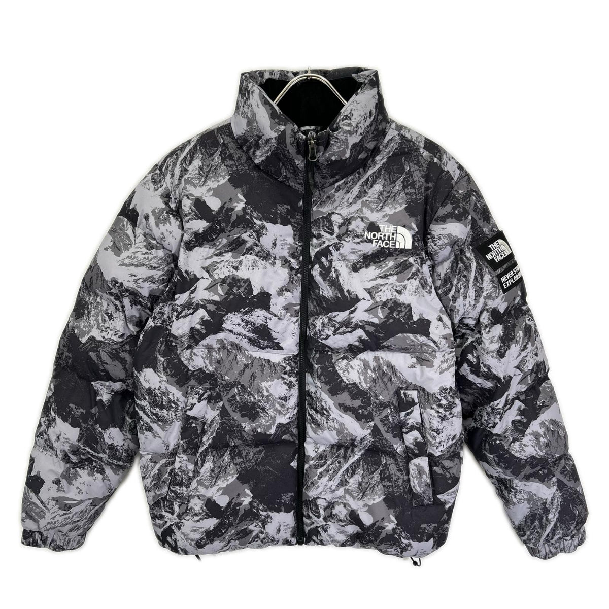 THE NORTH FACE ノースフェイス NJ3NN63A 海外限定 マウンテン柄 NOVELTY ASPEN EX ON BALL JACKET/ダウンジャケット ジャケット