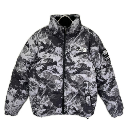 THE NORTH FACE ノースフェイス NJ3NN63A 海外限定 マウンテン柄 NOVELTY ASPEN EX ON BALL JACKET/ダウンジャケット ジャケット