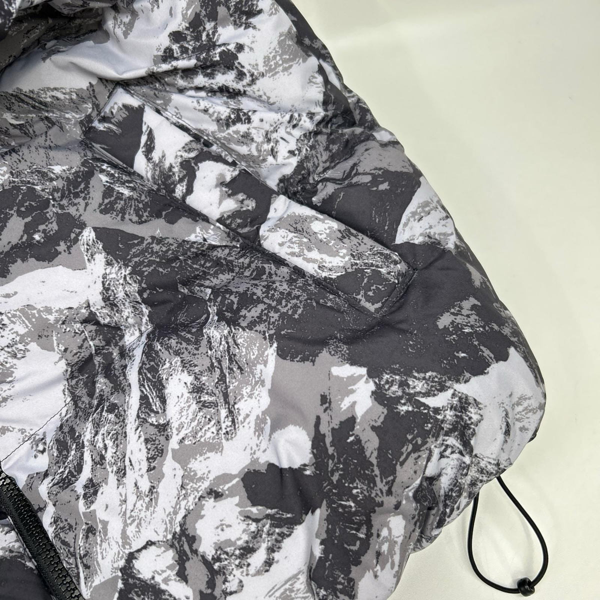 THE NORTH FACE ノースフェイス NJ3NN63A 海外限定 マウンテン柄 NOVELTY ASPEN EX ON BALL JACKET/ダウンジャケット ジャケット