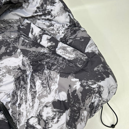 THE NORTH FACE ノースフェイス NJ3NN63A 海外限定 マウンテン柄 NOVELTY ASPEN EX ON BALL JACKET/ダウンジャケット ジャケット
