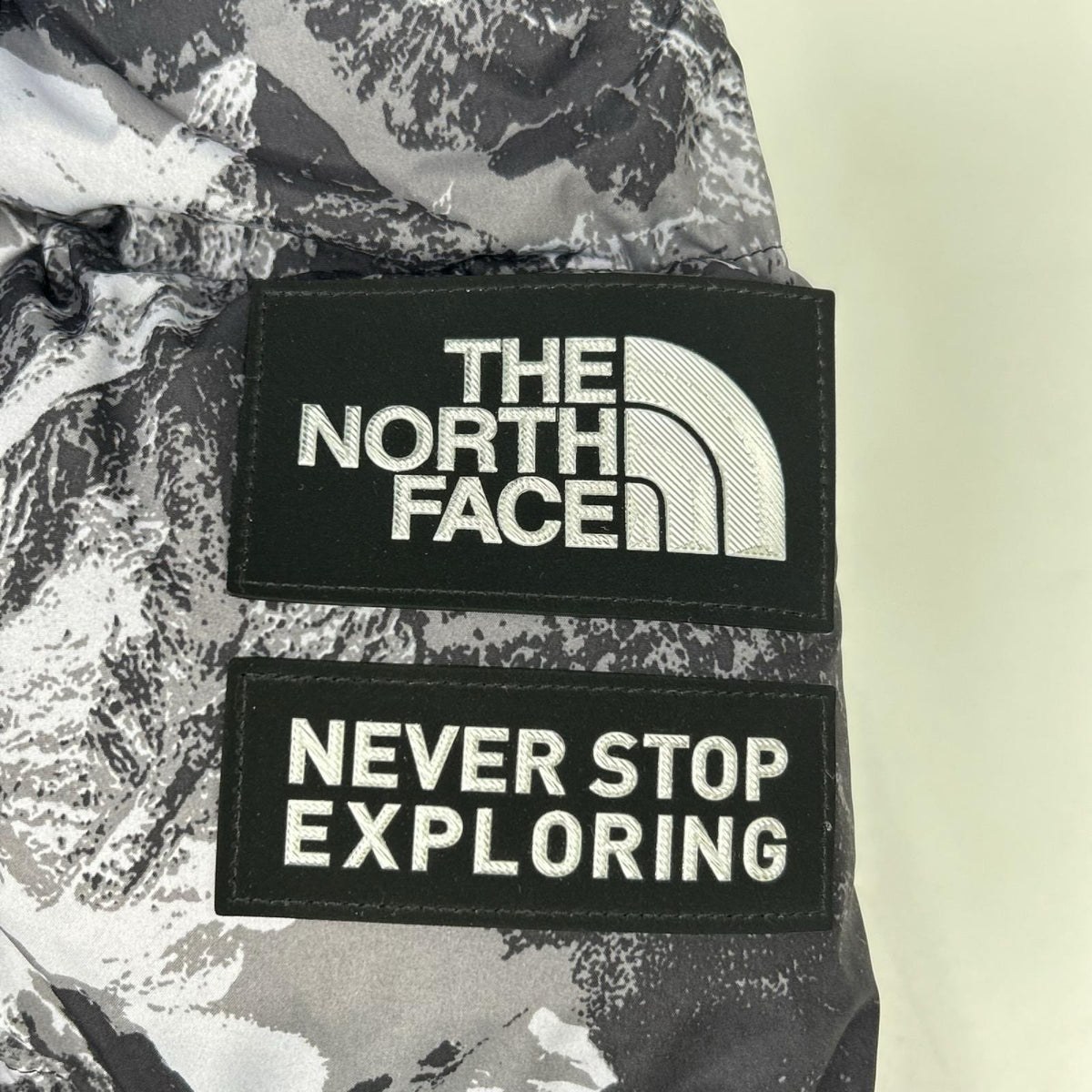 THE NORTH FACE ノースフェイス NJ3NN63A 海外限定 マウンテン柄 NOVELTY ASPEN EX ON BALL JACKET/ダウンジャケット ジャケット
